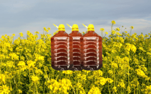 cold pressed mustard oil